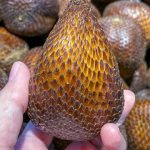 Apa yang Akan Terjadi Jika Mengonsumsi Buah Salak Setiap Hari!